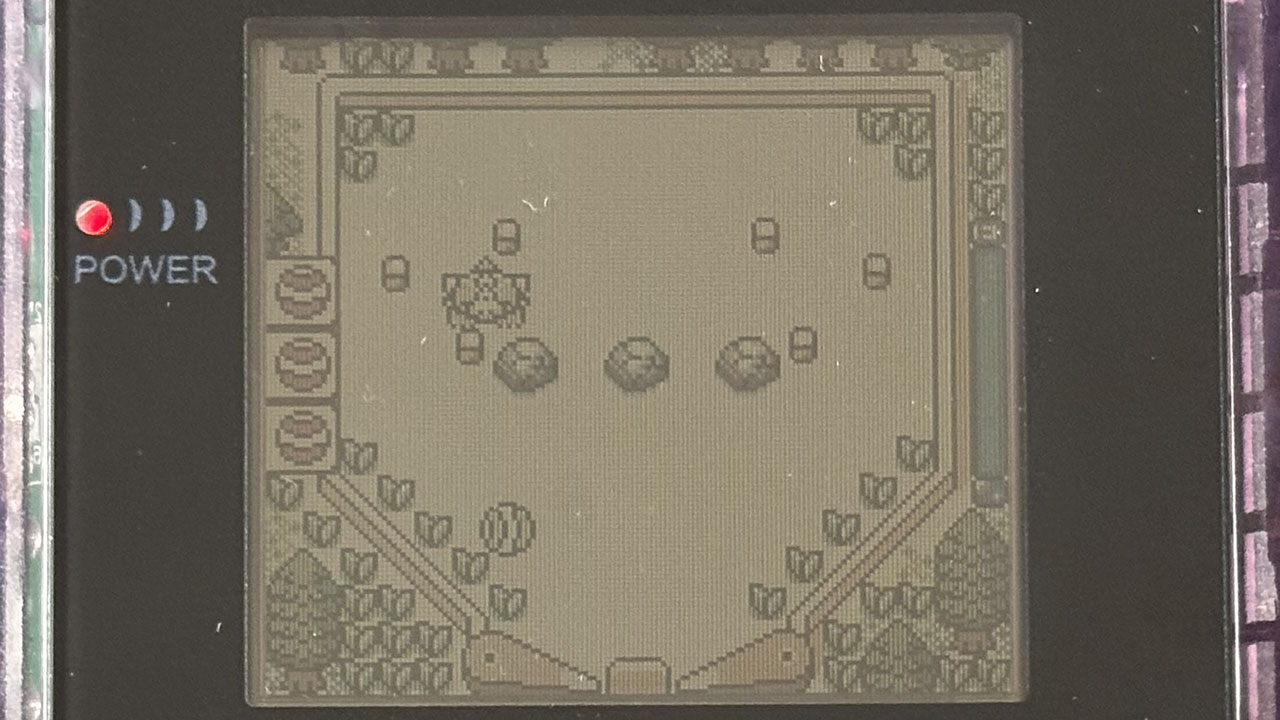 Capture d'écran de PachiPals